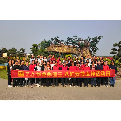 華龍集團（2023年）