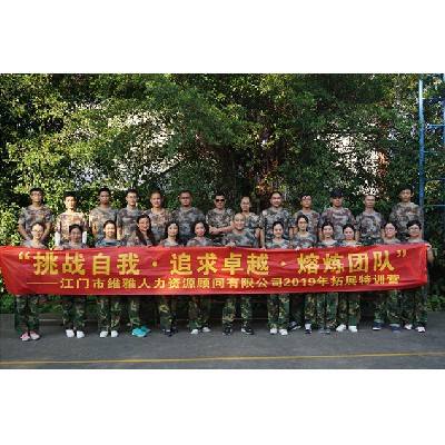維雅人力(2019年）