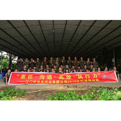 明星紙業（2019年第2期）