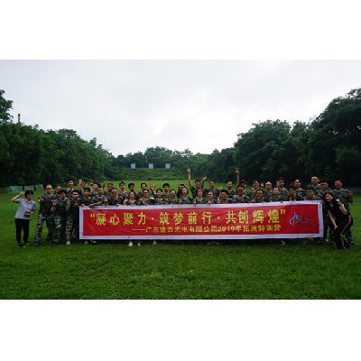 德力光電（2019年）