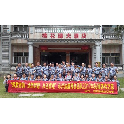 東洋油墨（2017年一期）