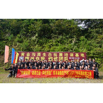 東洋油墨（2017年二期）