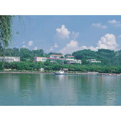 07、佛山南海南國桃園基地