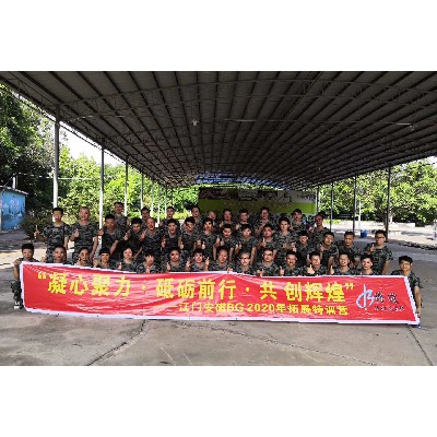 領益智造股份