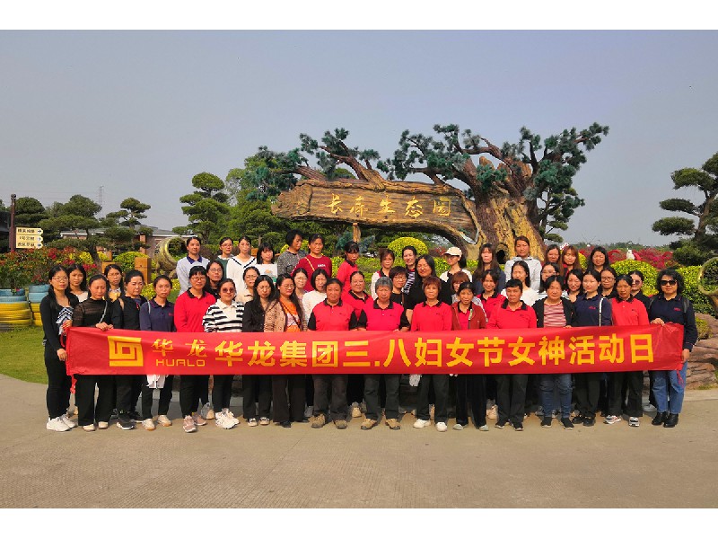 華龍集團（2023年）