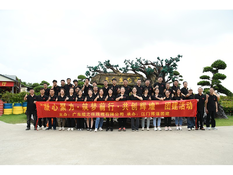 纜之佳線纜