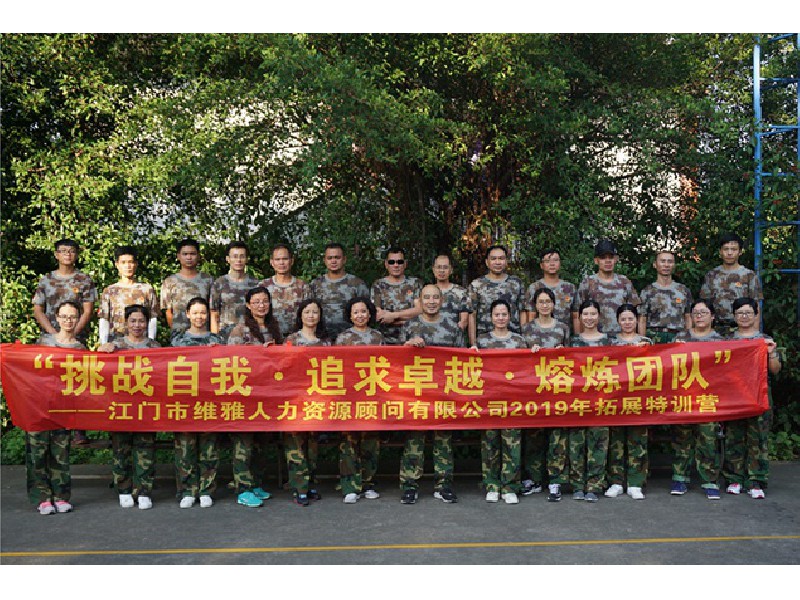 維雅人力(2019年）
