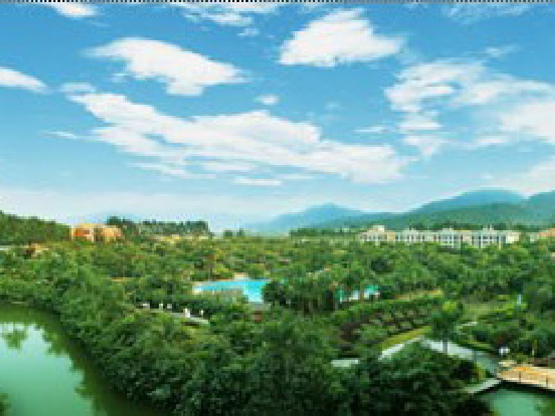 08、清遠(yuǎn)銀盞基地